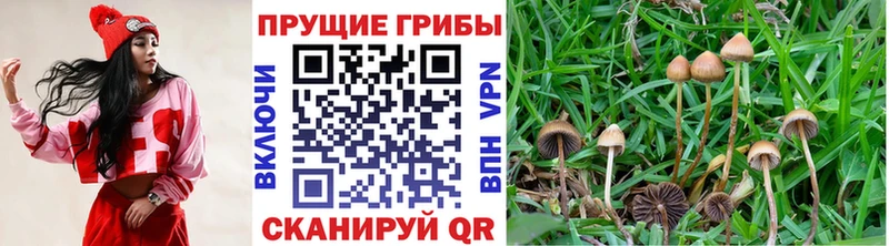 hydra как зайти Кувшиново Галлюциногенные грибы мухоморы